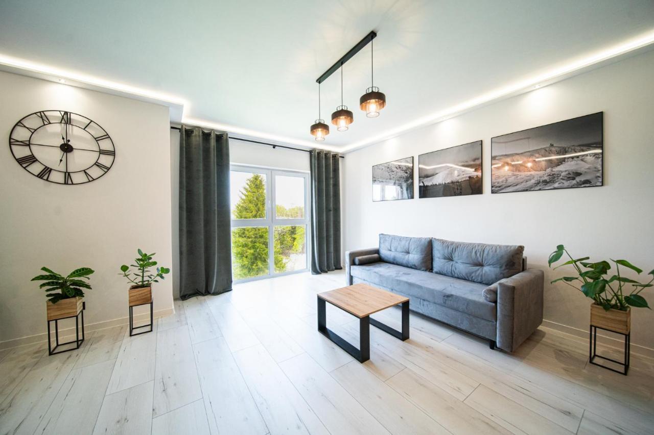 Apartament Duzy Staw Apartment Jelenia Gora Exterior photo